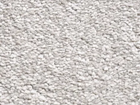 Vanguard Sumptuous - Fossil