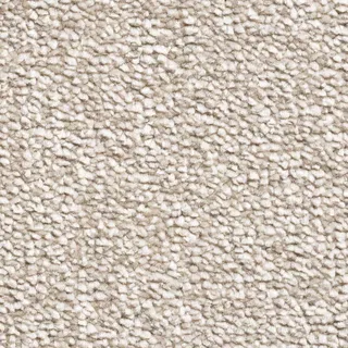 Vanguard Sumptuous – Sand Dune