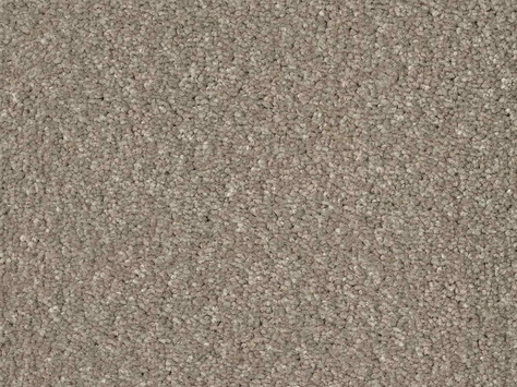 CFS Superior Care - Moroccan Spice