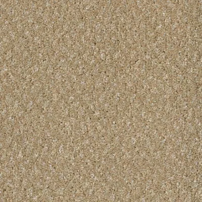 CFS Superior Care - Nougat