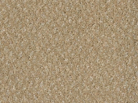 CFS Superior Care - Nougat