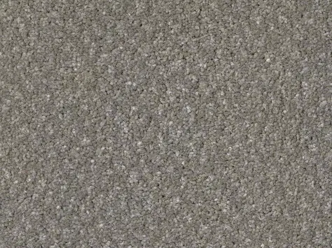 CFS Superior Care - Warm Pewter