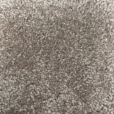 Vanguard Symphony - Mocha