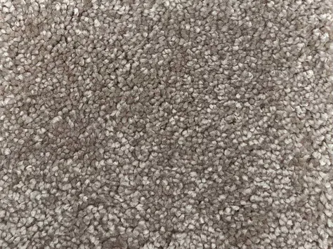 Vanguard Symphony - Mocha