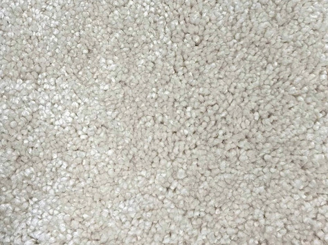 Vanguard Symphony - Snowdrop