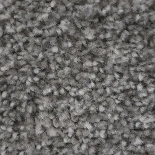 Vanguard Treasure Twist Elite – Silver