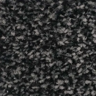 Vanguard Treasure Twist Super - Onyx