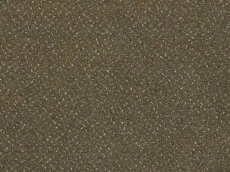 CFS Varsity Collection - Bark