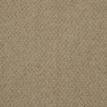 CFS Varsity Collection – Cork