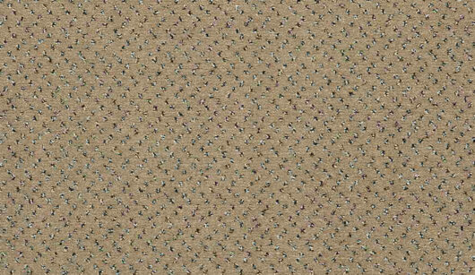 CFS Varsity Collection - Cork