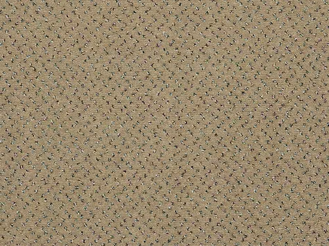 CFS Varsity Collection - Cork