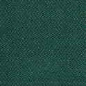 CFS Varsity Collection – Emerald