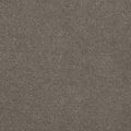 CFS Varsity Collection – Fossil