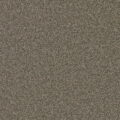 CFS Varsity Collection – Pebble