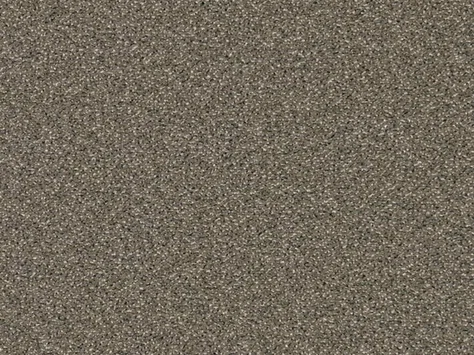 CFS Varsity Collection - Pebble