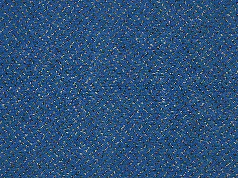 CFS Varsity Collection - Sky