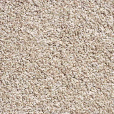 Vanguard Villamoura - Biscuit