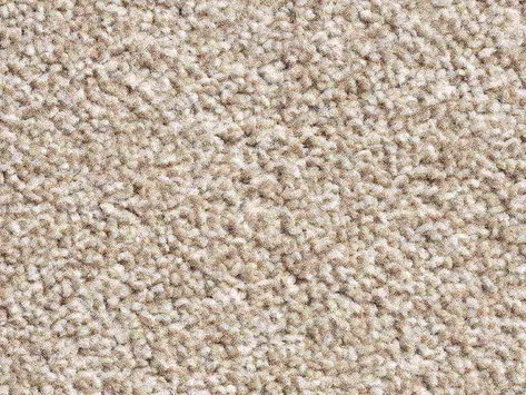 Vanguard Villamoura - Biscuit