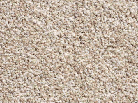 Vanguard Villamoura - Biscuit