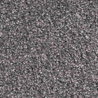 Vanguard Villamoura - Tungsten