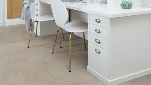 Fossil Limestone 4537