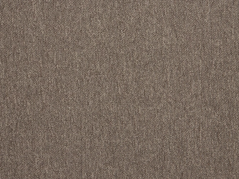 The Floor Hub Dahlia - Bloom