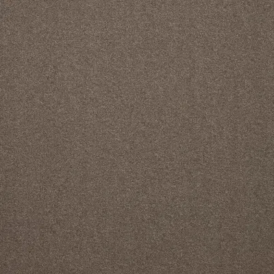 The Floor Hub Dahlia Cut - Cut Bloom