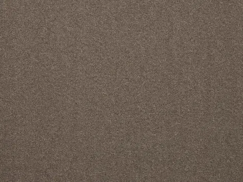 The Floor Hub Dahlia Cut - Cut Bloom