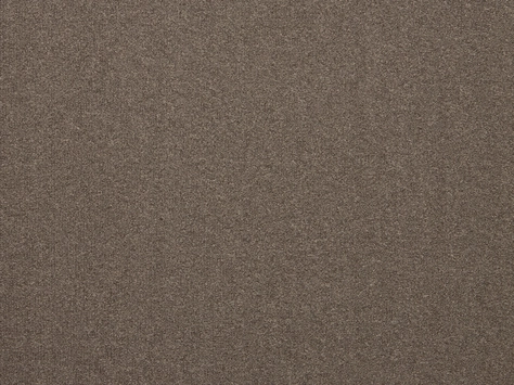 The Floor Hub Dahlia Cut - Cut Bloom