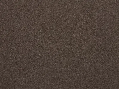 The Floor Hub Dahlia Cut - Cut Bouquet