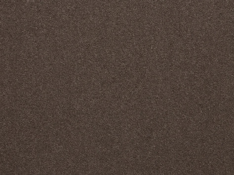 The Floor Hub Dahlia Cut - Cut Bouquet