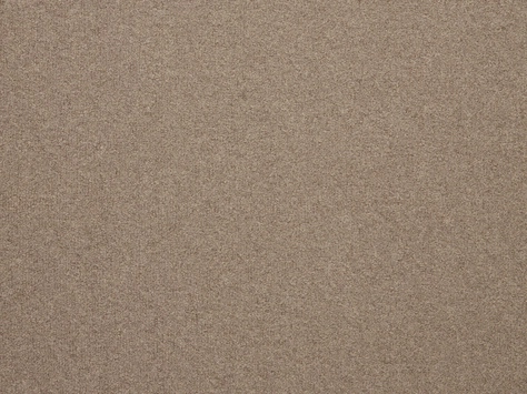 The Floor Hub Dahlia Cut - Willow