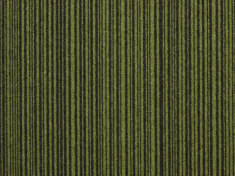 The Floor Hub Dahlia - Foliage