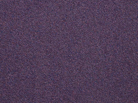 The Floor Hub Expression - Lingo