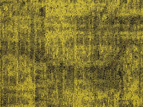 The Floor Hub Infusion - Chamomile