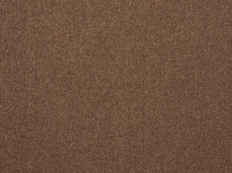 The Floor Hub Prism - Bark