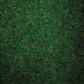 Heckmondwike Wellington Velour – Lincoln Green