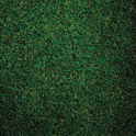 Heckmondwike Wellington Velour – Lincoln Green