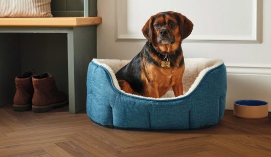 Palio Essenza - Bologna Oak Herringbone SM-PVP404