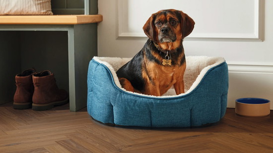 Palio Essenza - Bologna Oak Herringbone SM-PVP404