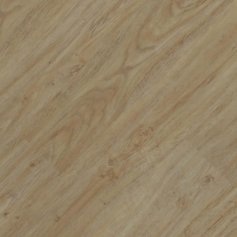 CFS Eternity - Golden Oak