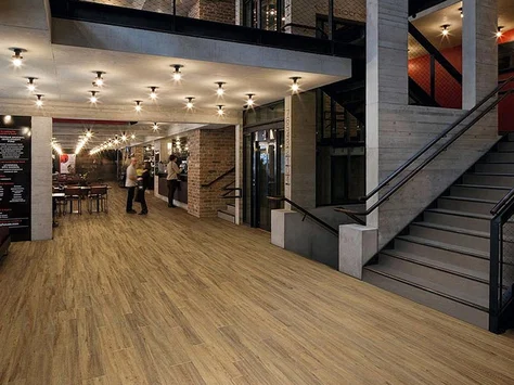 Polyflor Expona Bevel Line - Enriched Variety Oak 2815