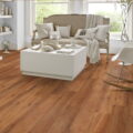 Karndean Van Gogh – Classic Oak VGW86T