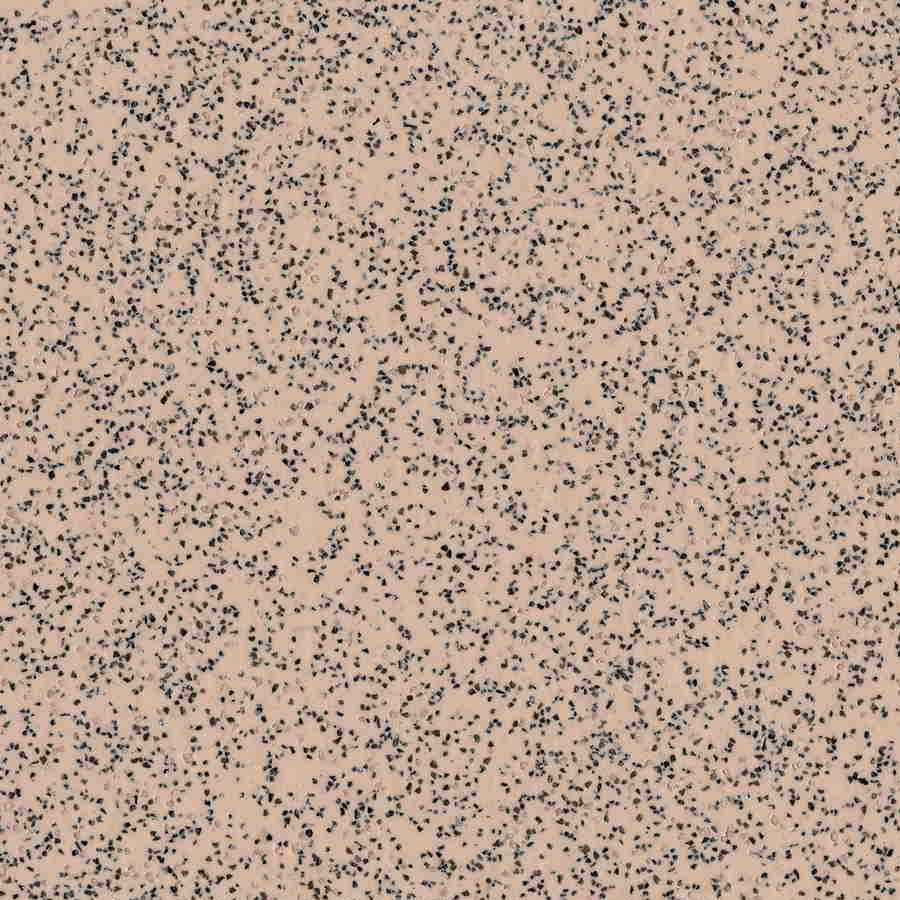 Polysafe Standard - Elmwood 4520