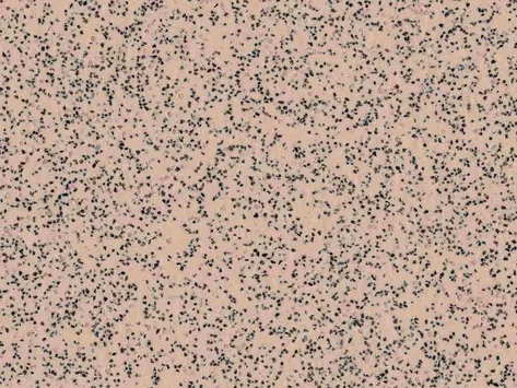 Polysafe Standard - Elmwood 4520