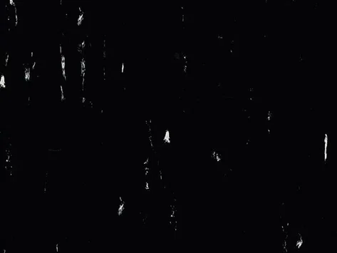 Polyflor Standard XL - Black Panther 8640