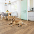Nordikka Select – Rustic Grey