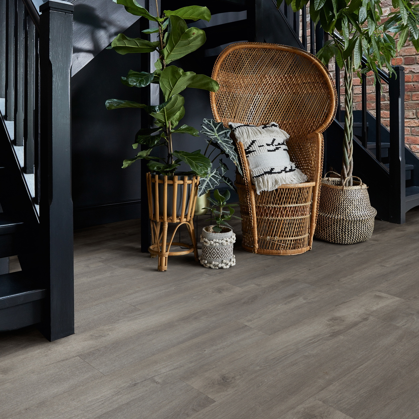 TLC Massimo - Hampstead Oak PLK5275